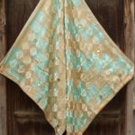Baby Blue Light Peanut Color Phulkari 1